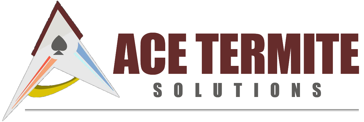 Termite Treatments Melbourne