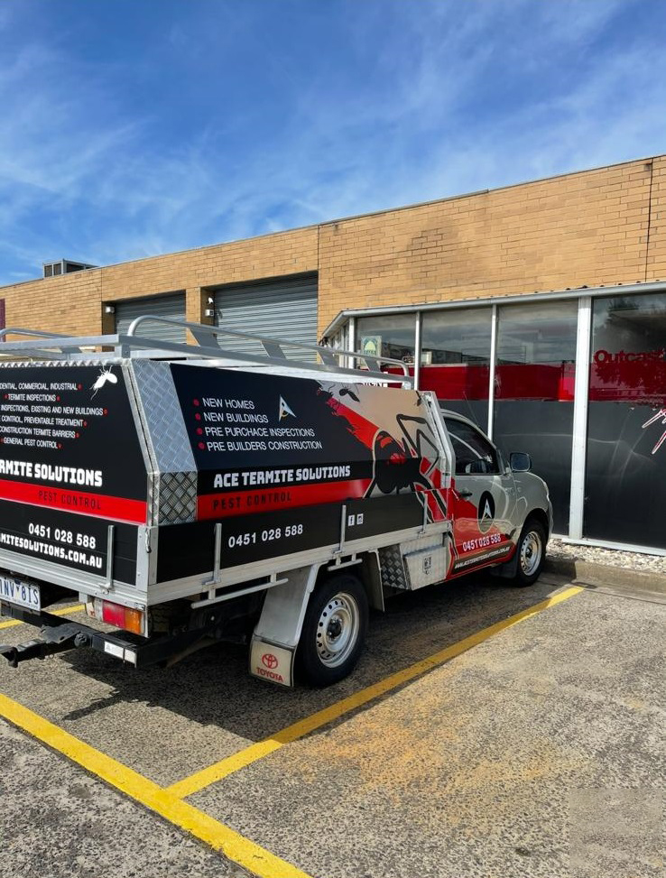Termite Control Melbourne